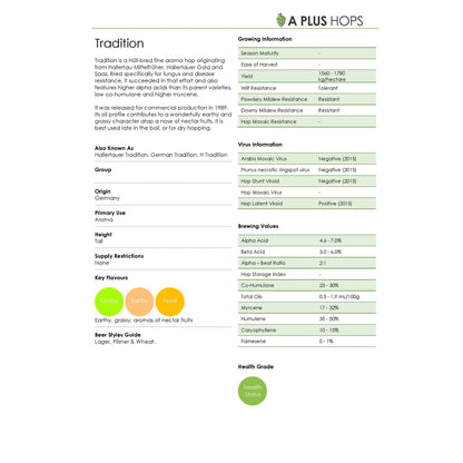 Tradition Hop Plant